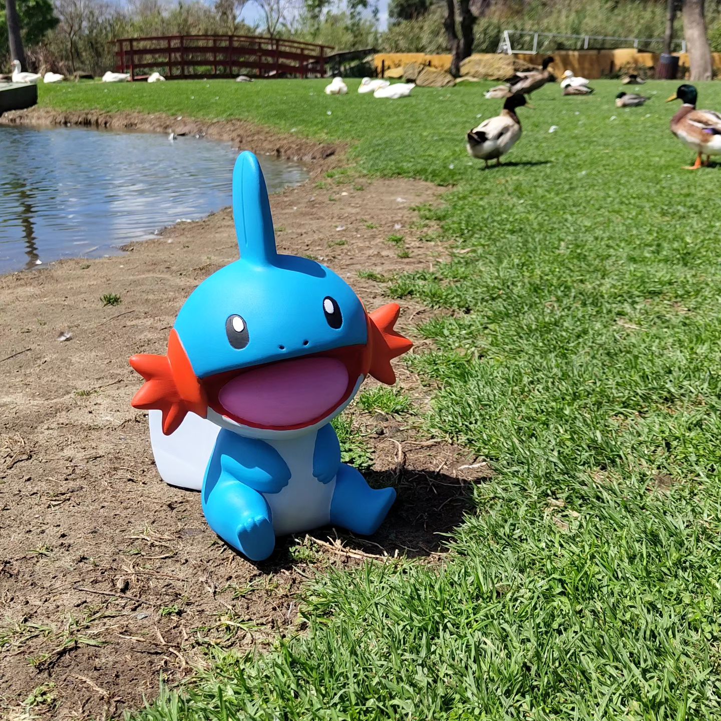 Mudkip Escala 1:1