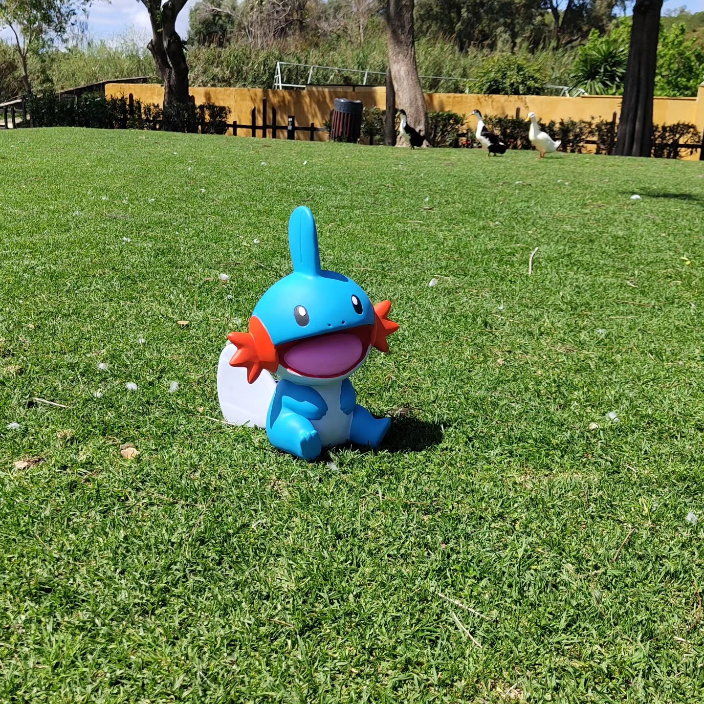 Mudkip Escala 1:1