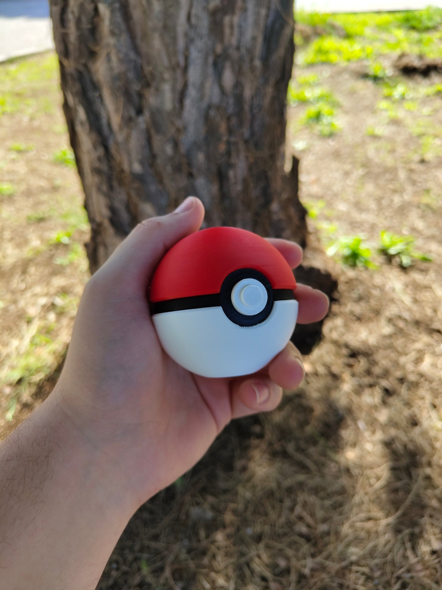 Colección Pokéballs (13 Modelos)