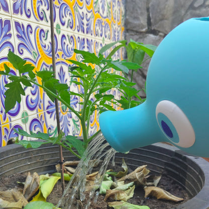 Regadera Horsea - Regadera Pokémon